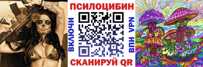 Псилоцибиновые грибы Psilocybe  где купить наркоту  Старая Купавна 